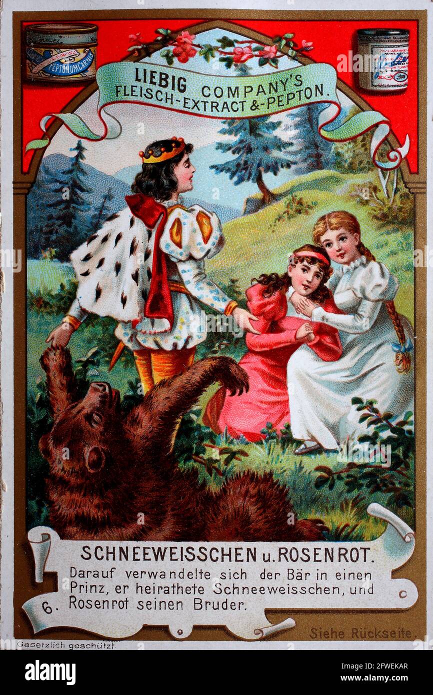 Cuento de hadas Blanca Nieves y Rojo Rosa, en él el oso convertido en un  príncipe, se casa con Blanca Nieves y Rojo Rosa su hermano / Märchen  Schneeweißchen und Rosenrot, darauf