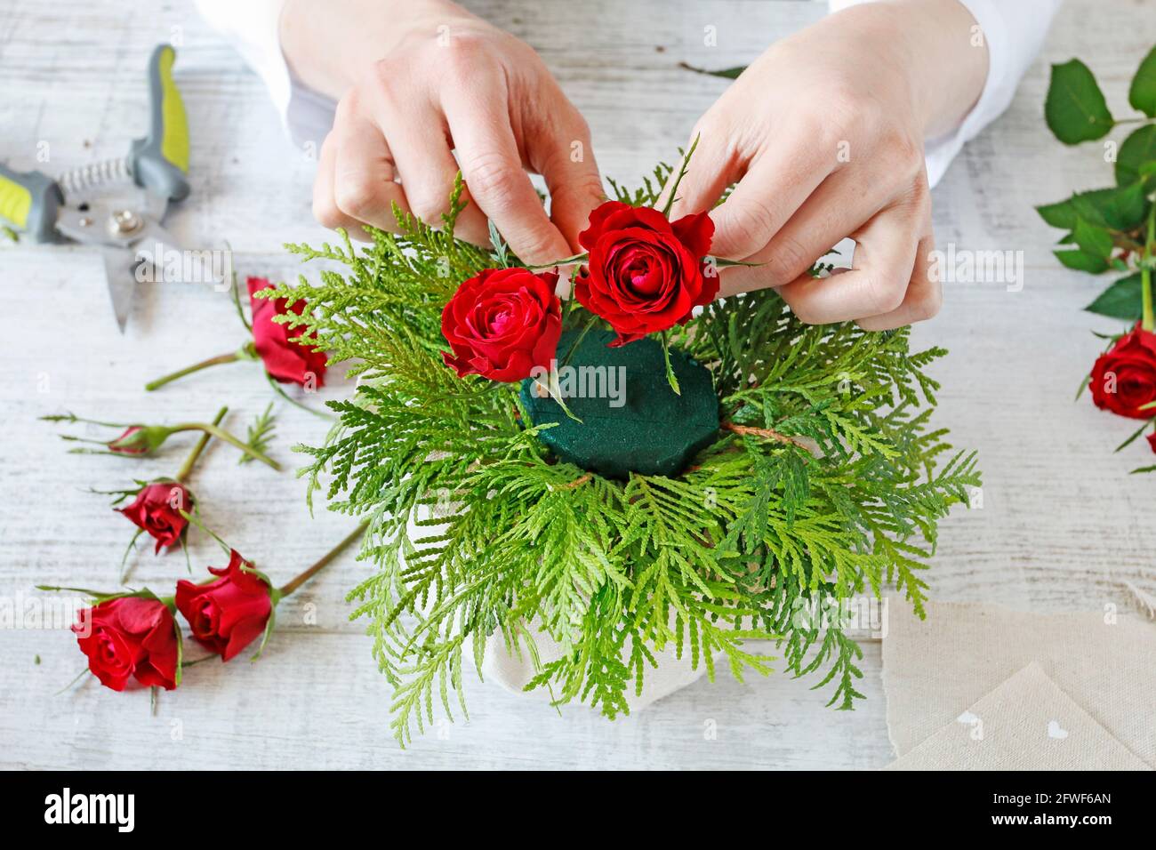 Floristería en el trabajo: La mujer muestra cómo hacer un arreglo floral  con rosas rojas y twigs de thuja, paso a paso, tutorial Fotografía de stock  - Alamy