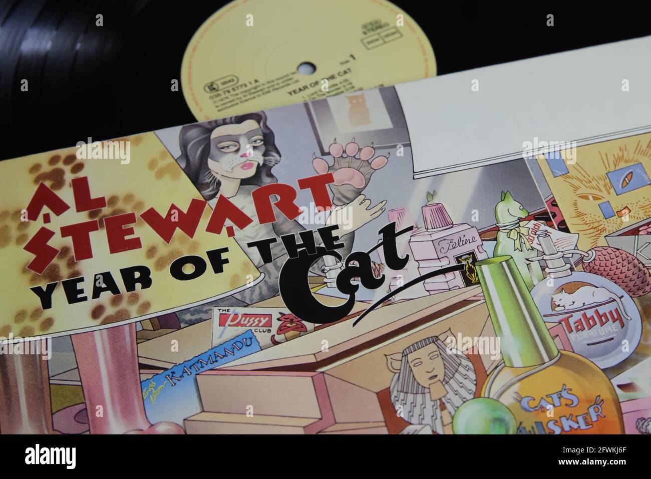 Viersen, Alemania - mayo de 9. 2021: Primer plano de la cubierta aislada  del disco de vinilo del cantante Al Stewart, año del gato Fotografía de  stock - Alamy
