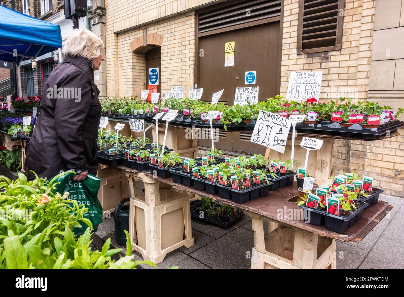 Mujer mirando las plantas para la venta en el mercado de la calle Foto de stock