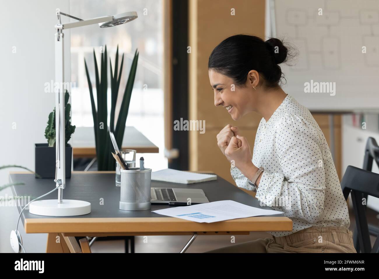 Vista lateral overjoyed businesswoman indio usando el ordenador portátil, celebrando el éxito Foto de stock