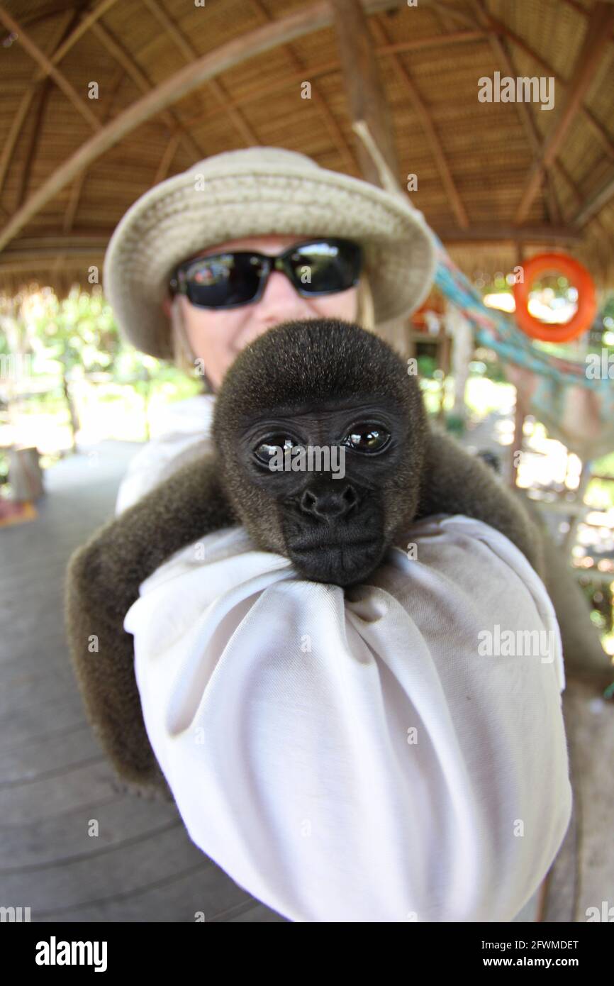 Mujer sosteniendo un mono fotografías e imágenes de alta resolución - Alamy