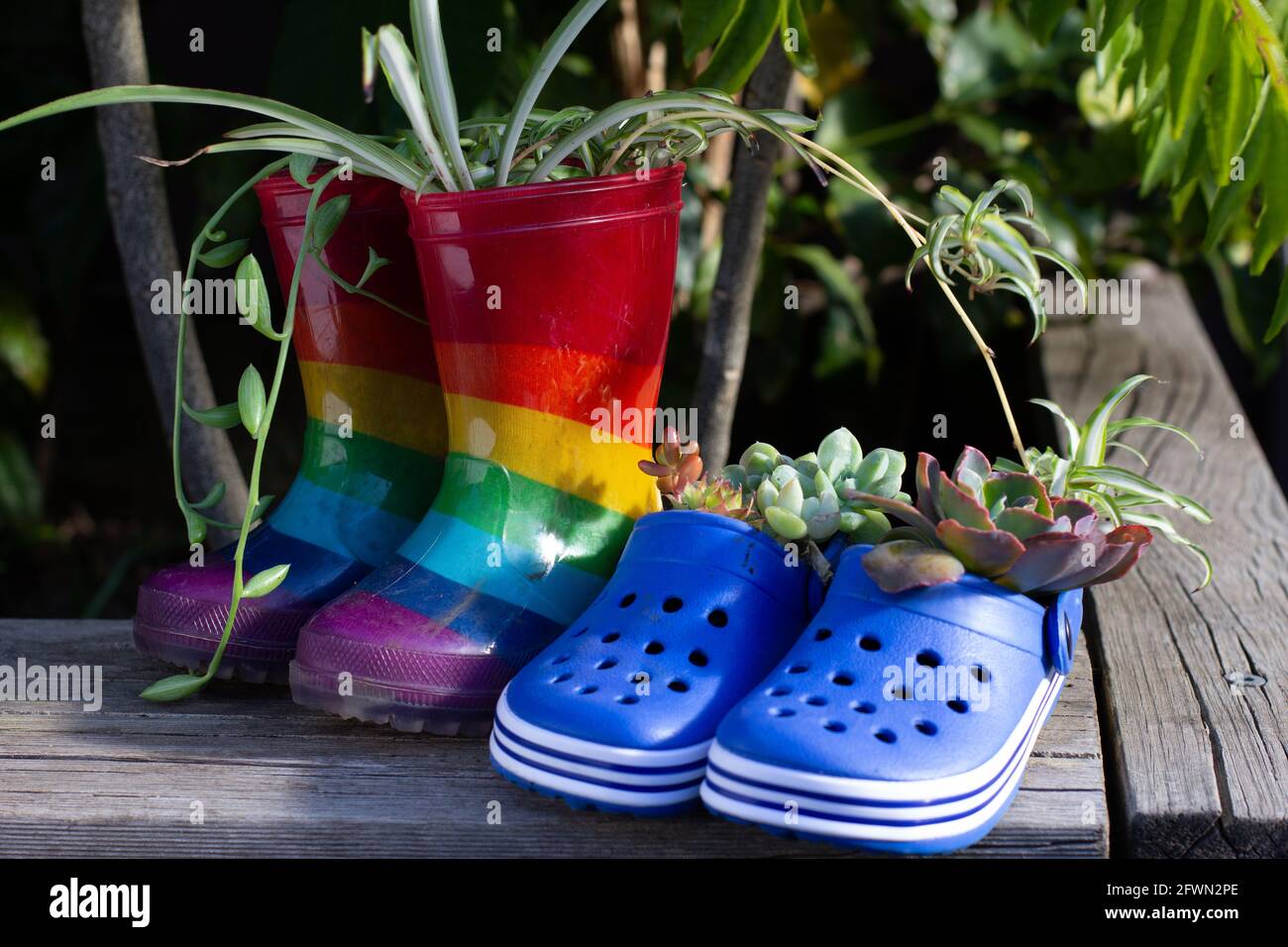 Botas y zapatos reciclados para niños en el jardín usados como macetas de  plantas, una manera divertida de fomentar la reutilización del reciclaje y  reducir los residuos Fotografía de stock - Alamy