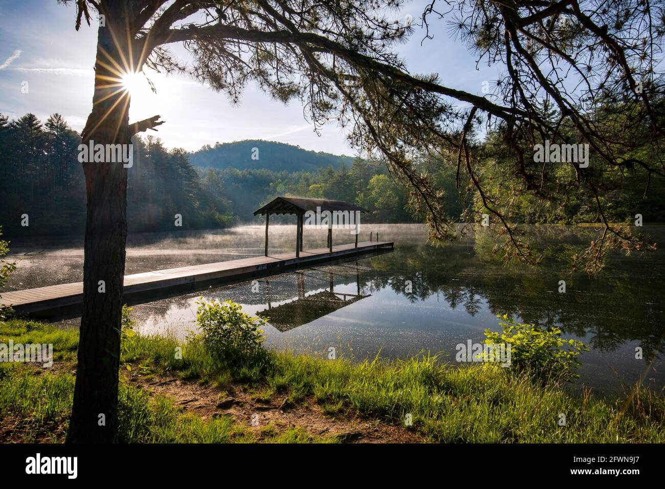 Amanecer temprano en la mañana en el lago denso - Dupont State Recreational Forest - Cedar Mountain, cerca de Brevard, Carolina del Norte, Estados Unidos Foto de stock