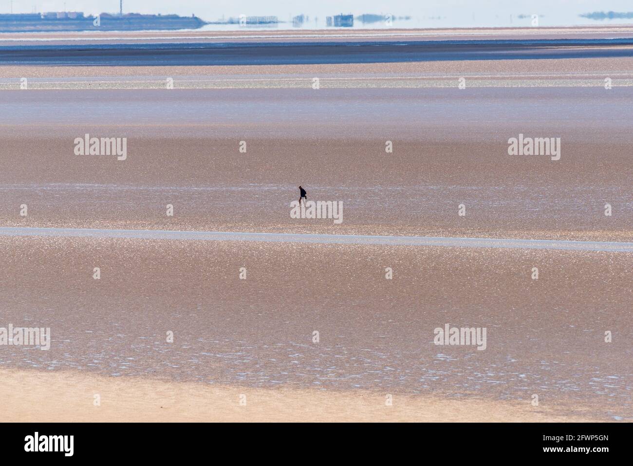 Vista desde lejos Arnside sobre la bahía de Morecambe hacia Morecambe, Lancashire, Reino Unido con un caminante en la arena Foto de stock