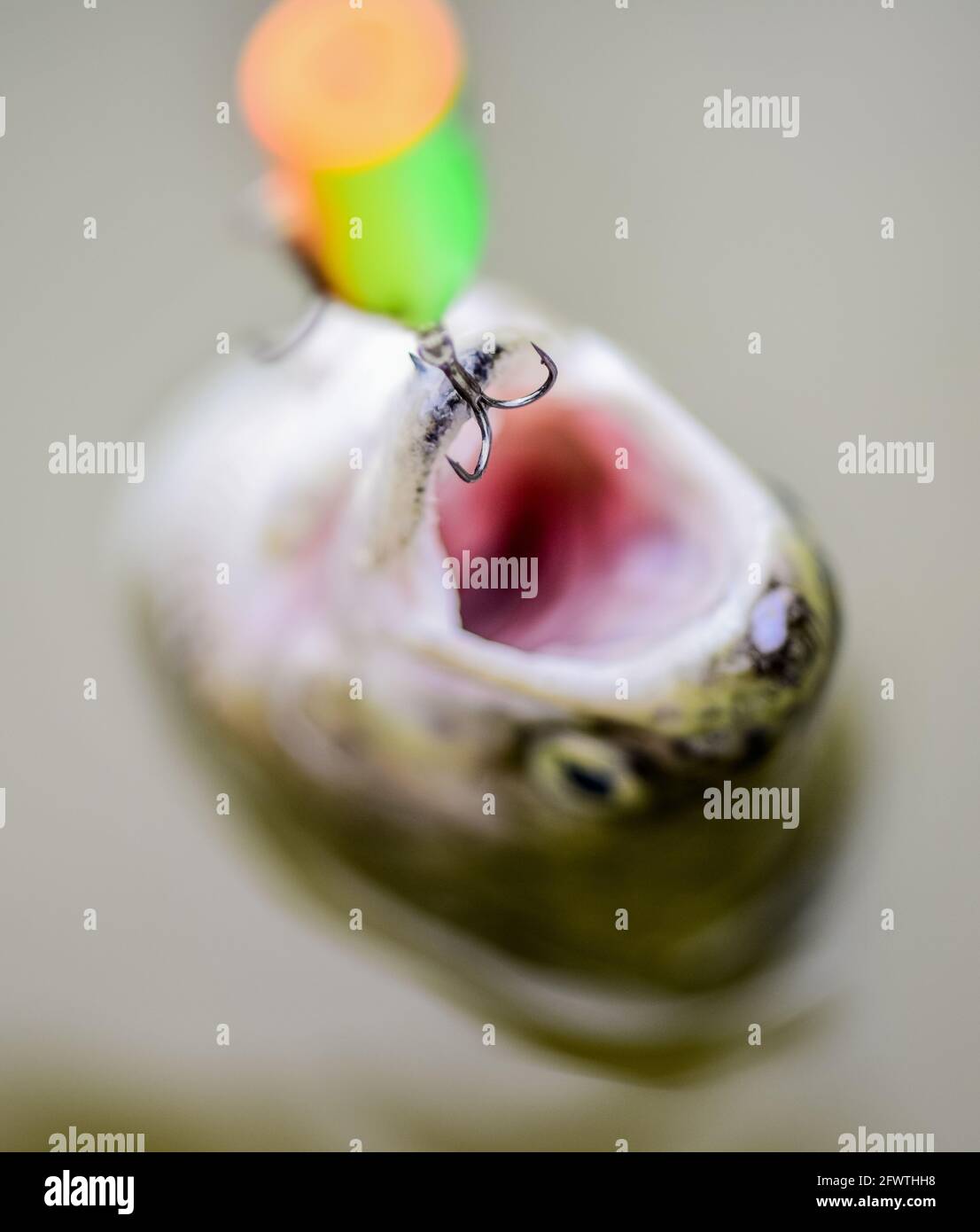 Aparejos de pesca profesional fotografías e imágenes de alta resolución -  Página 6 - Alamy