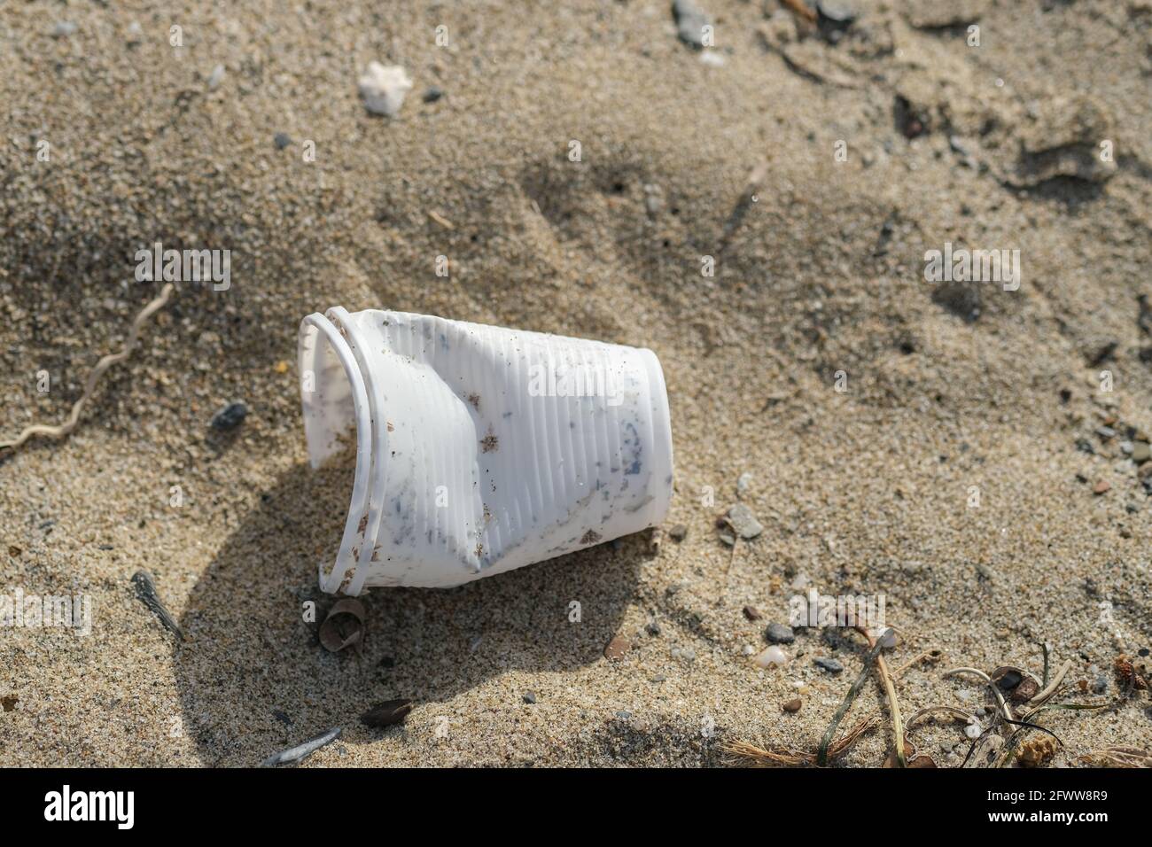 Vaso de plástico desechable desechado en el ecosistema de la costa del mar, contaminación de residuos naturales Foto de stock