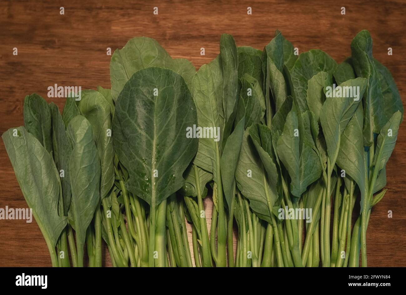 Collard green fotografías e imágenes de alta resolución Alamy