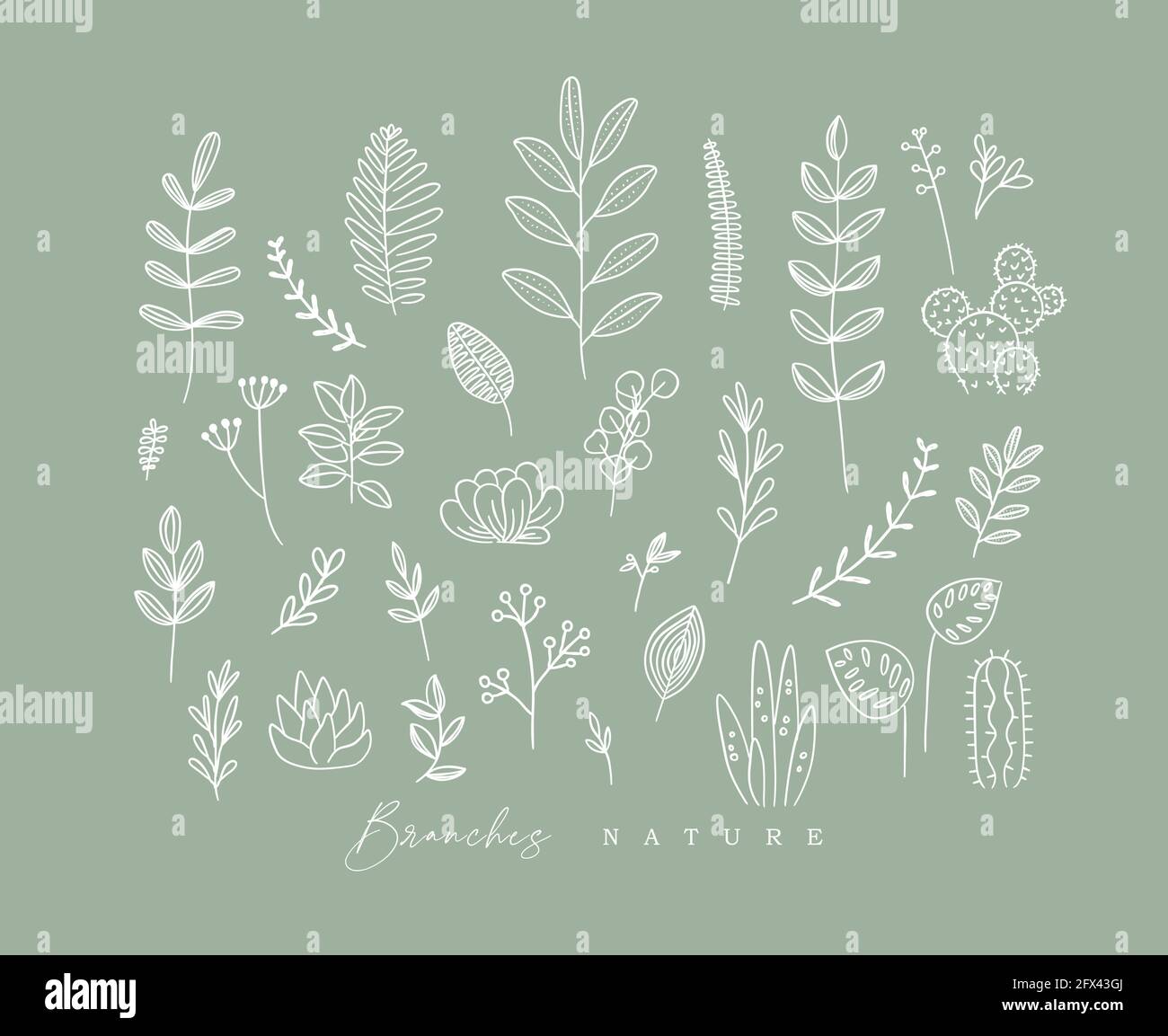 Conjunto de diferentes formas ramificaciones y hojas en estilo minimalismo dibujo sobre fondo verde Ilustración del Vector