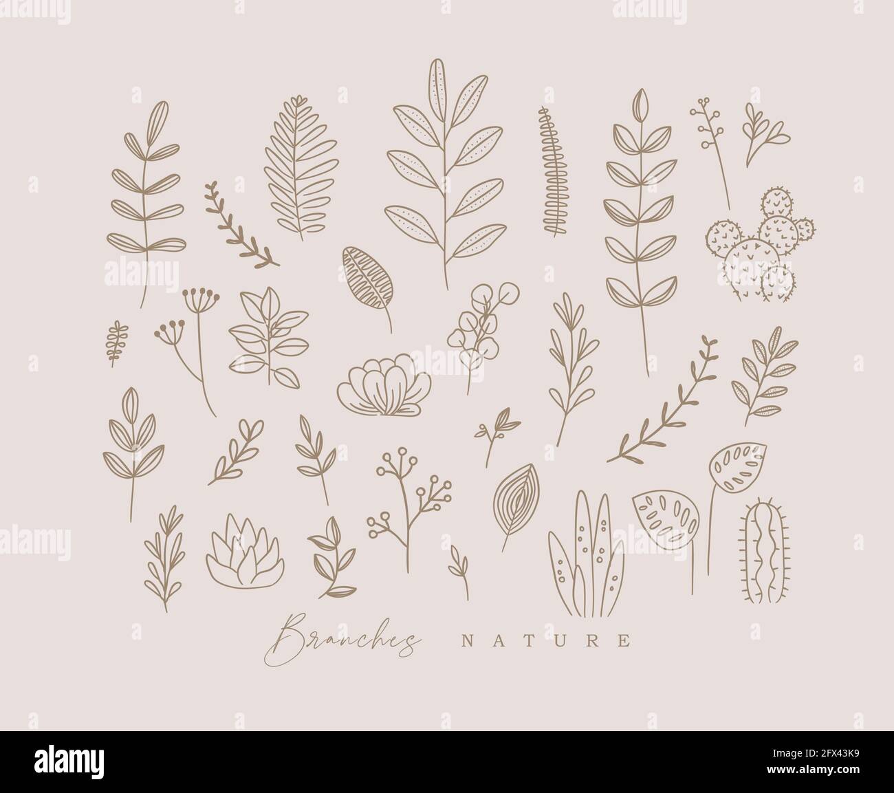 Conjunto de diferentes formas ramificaciones y hojas en estilo minimalismo dibujo sobre fondo beige Ilustración del Vector