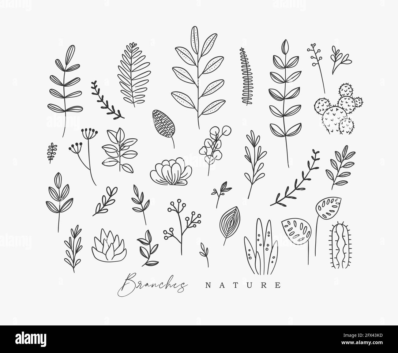 Conjunto de diferentes formas ramificaciones y hojas en estilo minimalismo dibujo sobre fondo blanco Ilustración del Vector