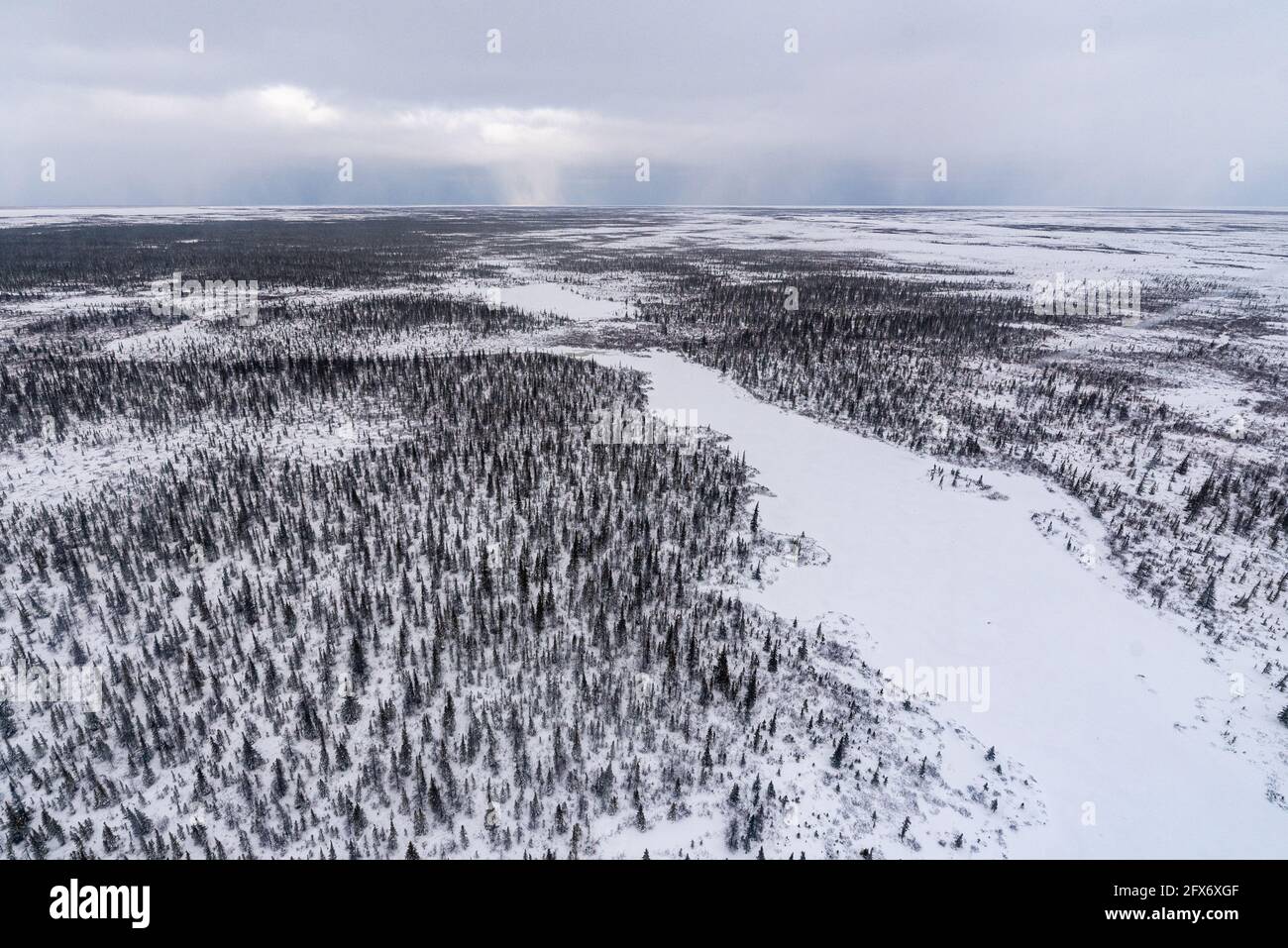 Paisaje de bosques boreales en el norte de Manitoba, fuera de Churchill en el norte de la tundra, país ártico a orillas de la bahía de Hudson. Aérea, ojo de pájaros. Foto de stock
