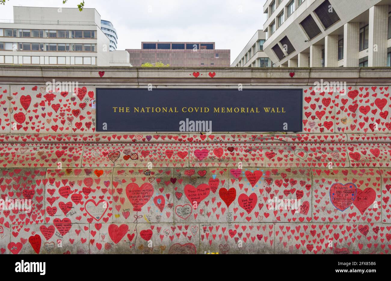 Londres, Reino Unido. 14th de mayo de 2021. Corazones rojos en el National Covid Memorial Wall fuera del St Thomas' Hospital. 150.000 corazones rojos han sido pintados por voluntarios y miembros del público, uno por cada vida perdida a Covid en el Reino Unido hasta la fecha. Foto de stock