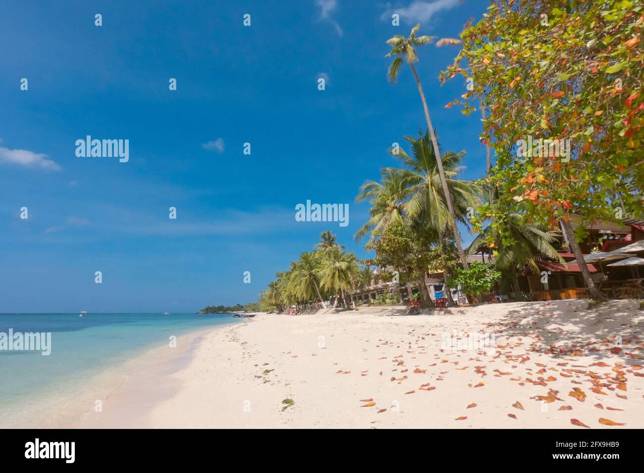 Impresionante paraíso Alona playa con palmeras en la isla de Panglao en Bohol, Filipinas Foto de stock