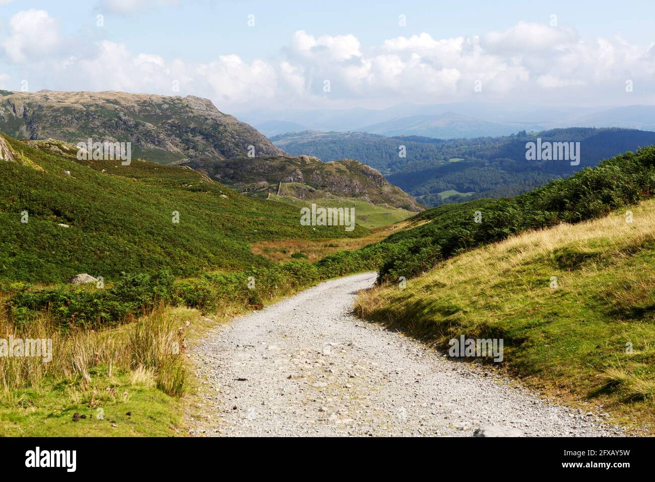 Piedras en un sendero que conduce hacia el Viejo Hombre de Coniston en Cumbria, Inglaterra. Foto de stock