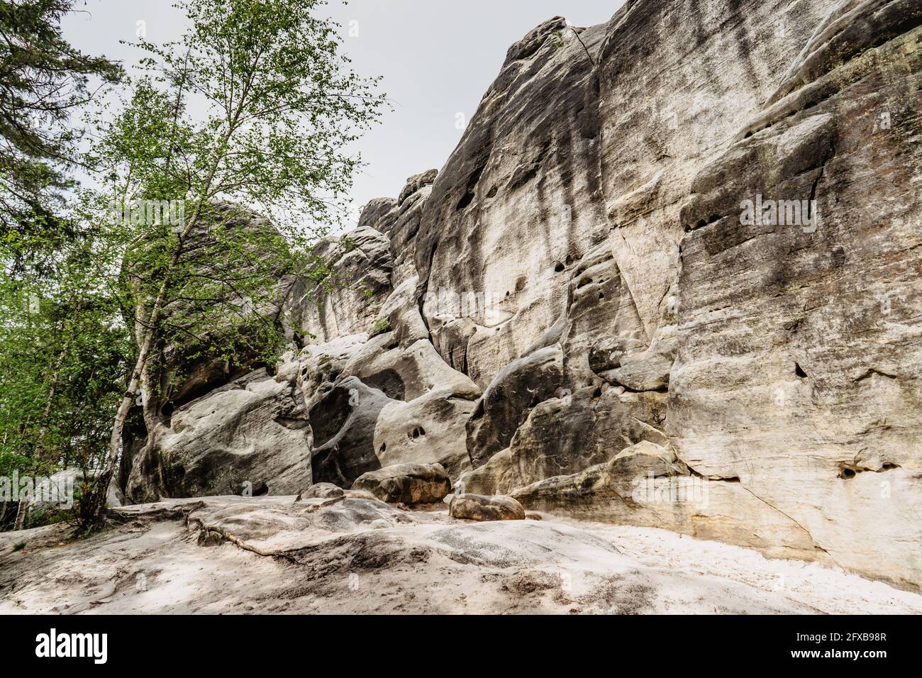 Cat Rocks cerca de la Reserva Natural de Ostas, región de Broumov, república Checa. Vista de rocas, extraño Arenisca formations.Small ciudad natural con laberinto de roca Foto de stock