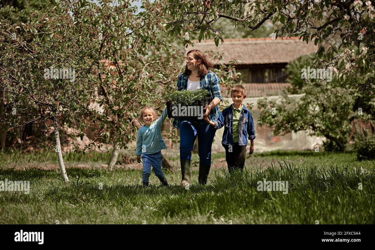 Madre sosteniendo un cajón de plántulas mientras camina con su hijo e hija en el patio trasero Foto de stock