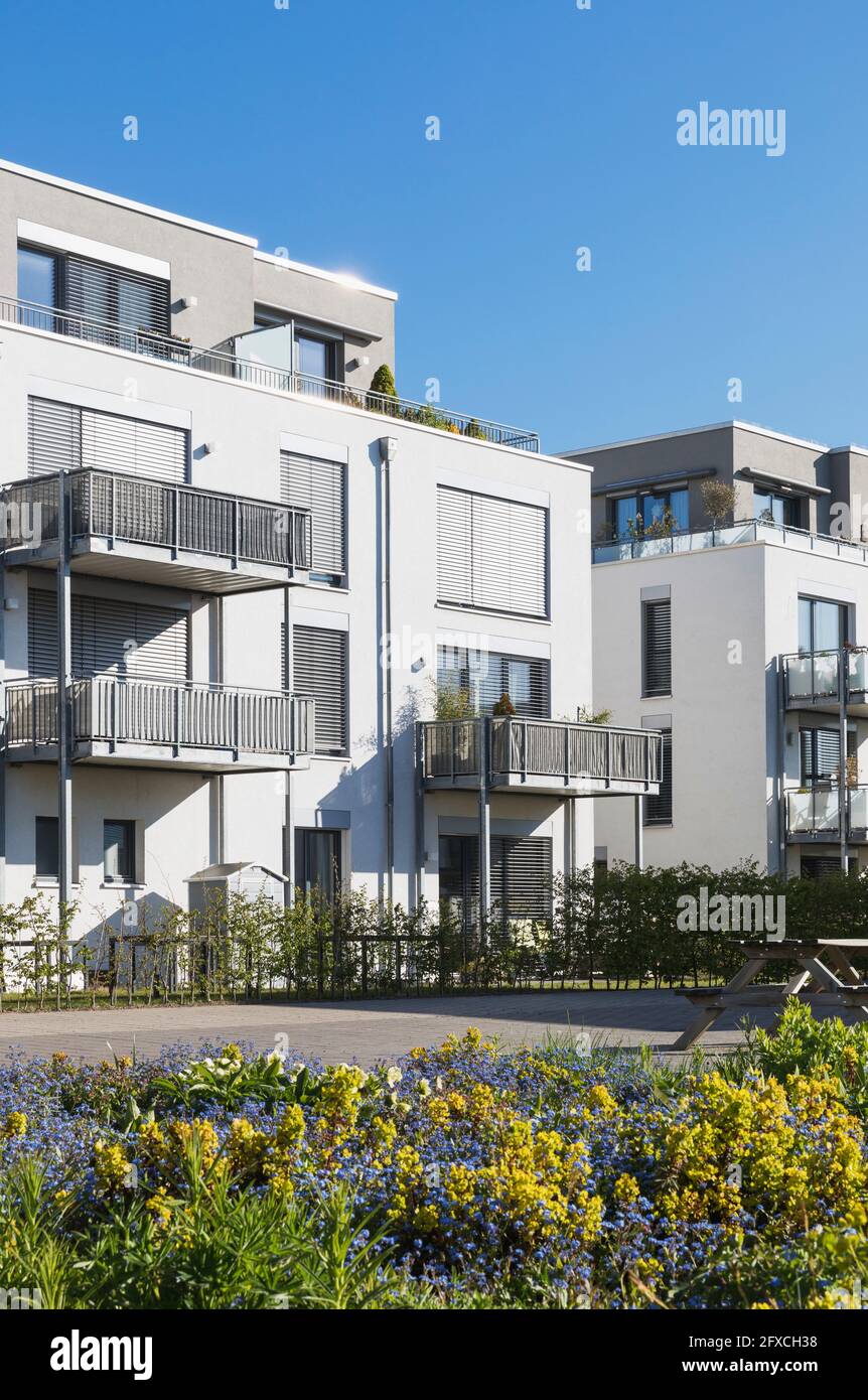 Alemania, Renania del Norte Westfalia, Colonia, modernos bloques de pisos con balcones y espacio de colaboración en jardinería urbana Foto de stock