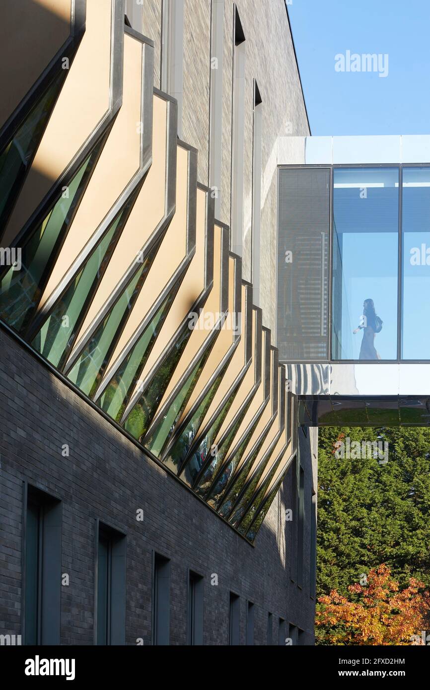 Detalle de fachada. University of Birmingham, Collaborative Teaching Laboratory, Birmingham, Reino Unido. Arquitecto: Sheppard Robson, 2018. Foto de stock