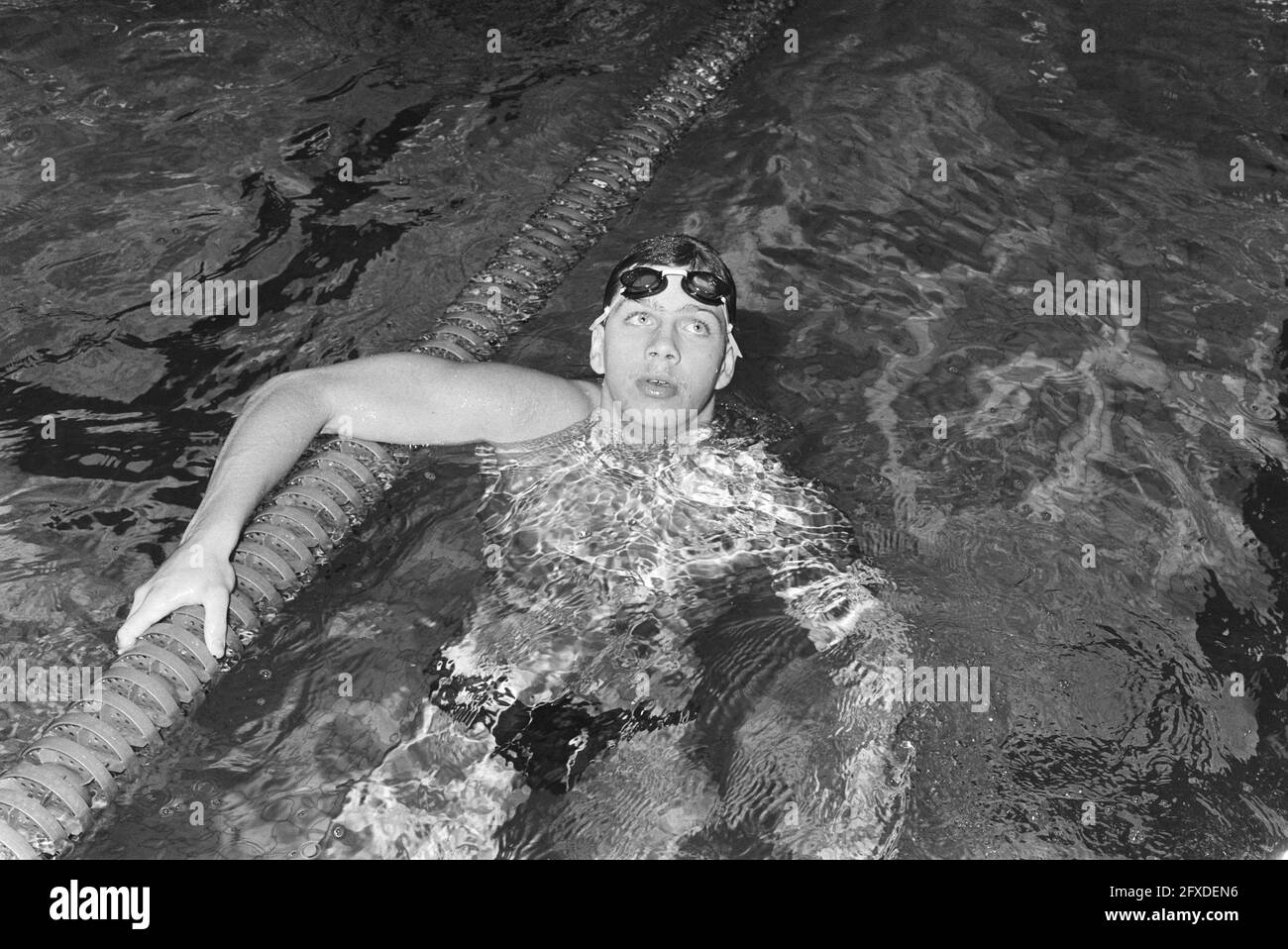 Speedo cumple con la natación fotografías e imágenes de alta resolución -  Alamy