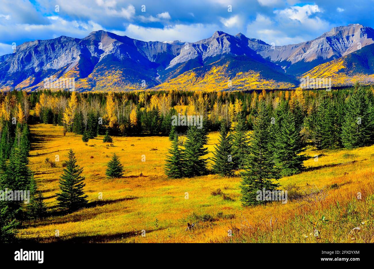 Una imagen del paisaje otoñal de las Montañas Rocosas canadienses en oeste de Alberta, Canadá Foto de stock