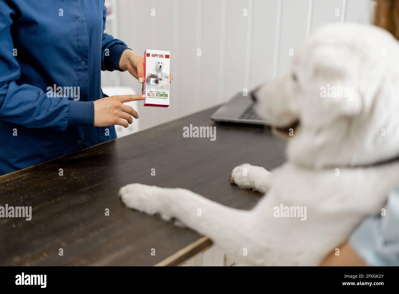 Mujer propietaria con un perro blanco grande en recepción en la clínica veterinaria que elige medicamentos y vitaminas para la mascota. Perro subió patas en la mesa. Cuidado y tratamiento de mascotas Foto de stock