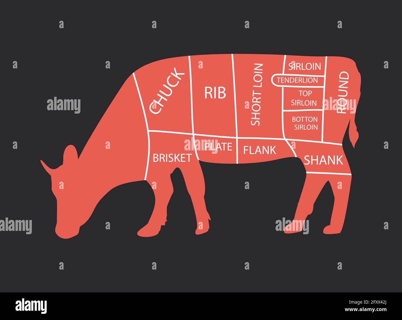 Corte de carne. Cartel Carnicero - diagrama de vaca. Vintage dibujado a mano tipográficas. Ilustración del Vector