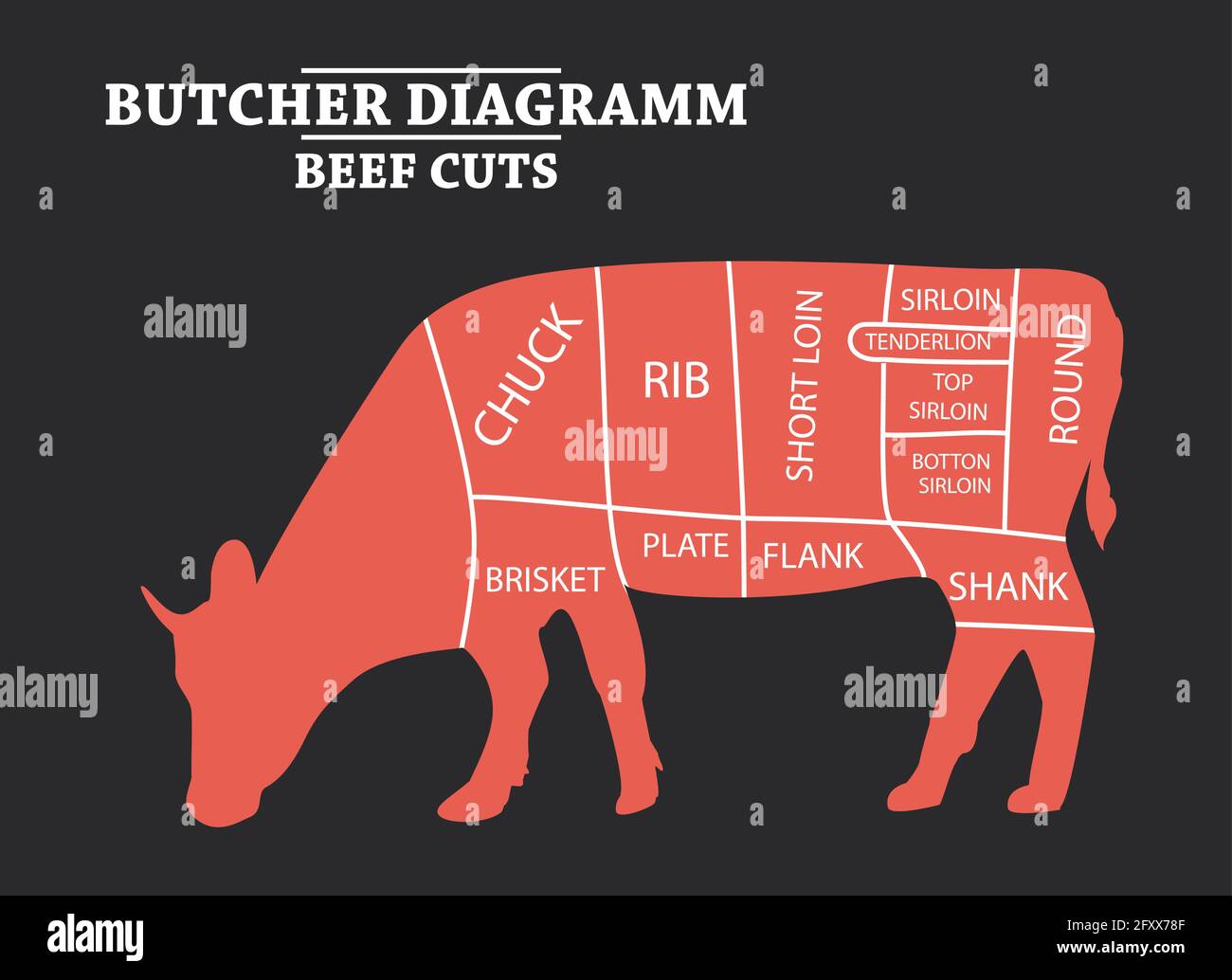 Corte de carne. Cartel Carnicero - diagrama de vaca. Vintage dibujado a mano tipográficas. Ilustración del Vector