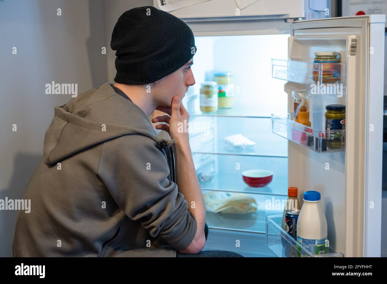 155,759 imágenes, fotos de stock, objetos en 3D y vectores sobre Cocina  refrigerador