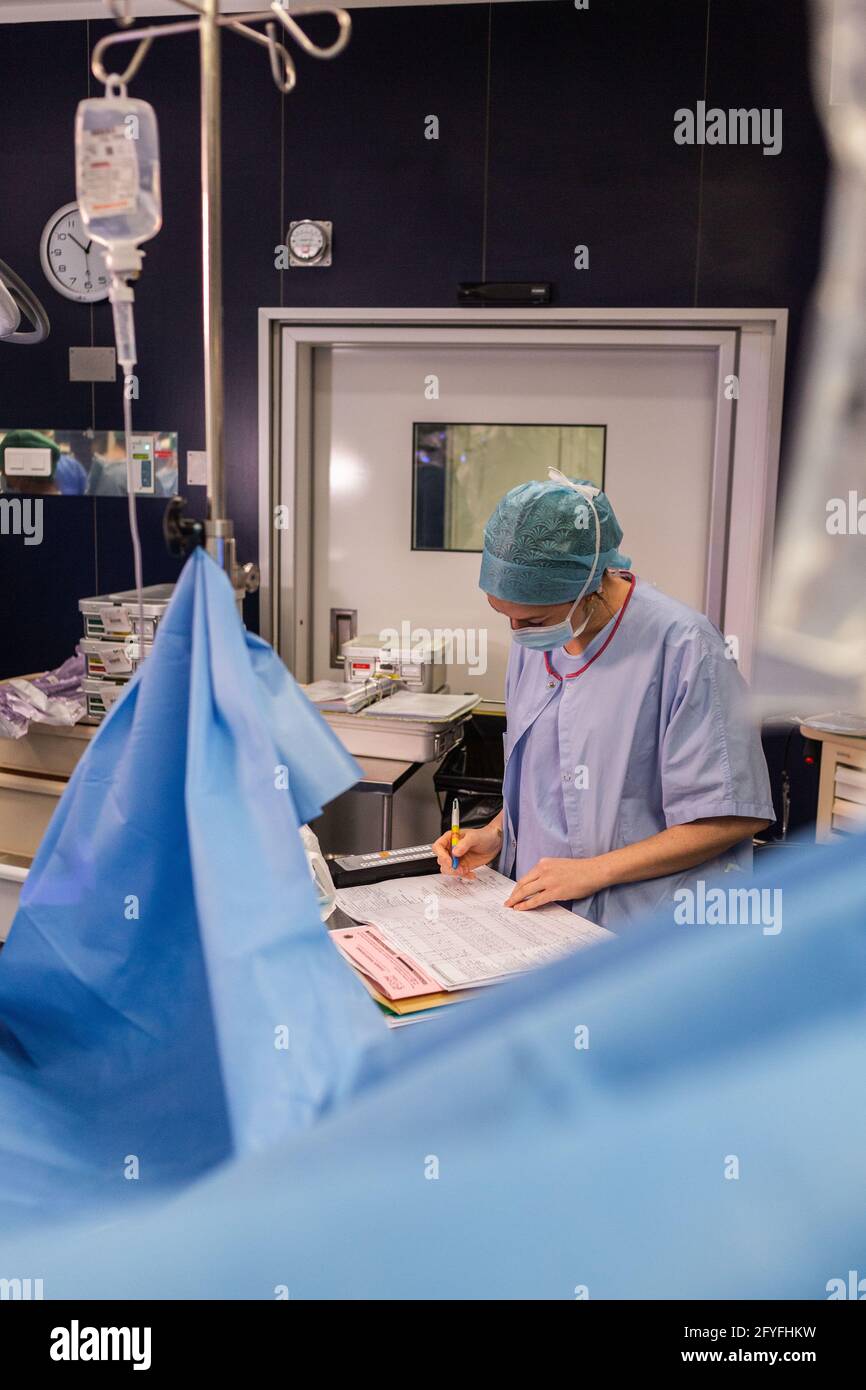 Cirugía renal conservadora robótica guiada por imagen asistida por el modelado de 3D, este modelado de 3D del riñón con su tumor localizado en púrpura, guía los s. Foto de stock