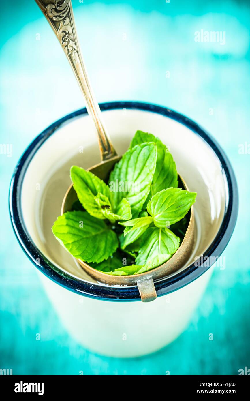 Té de menta. Foto de stock