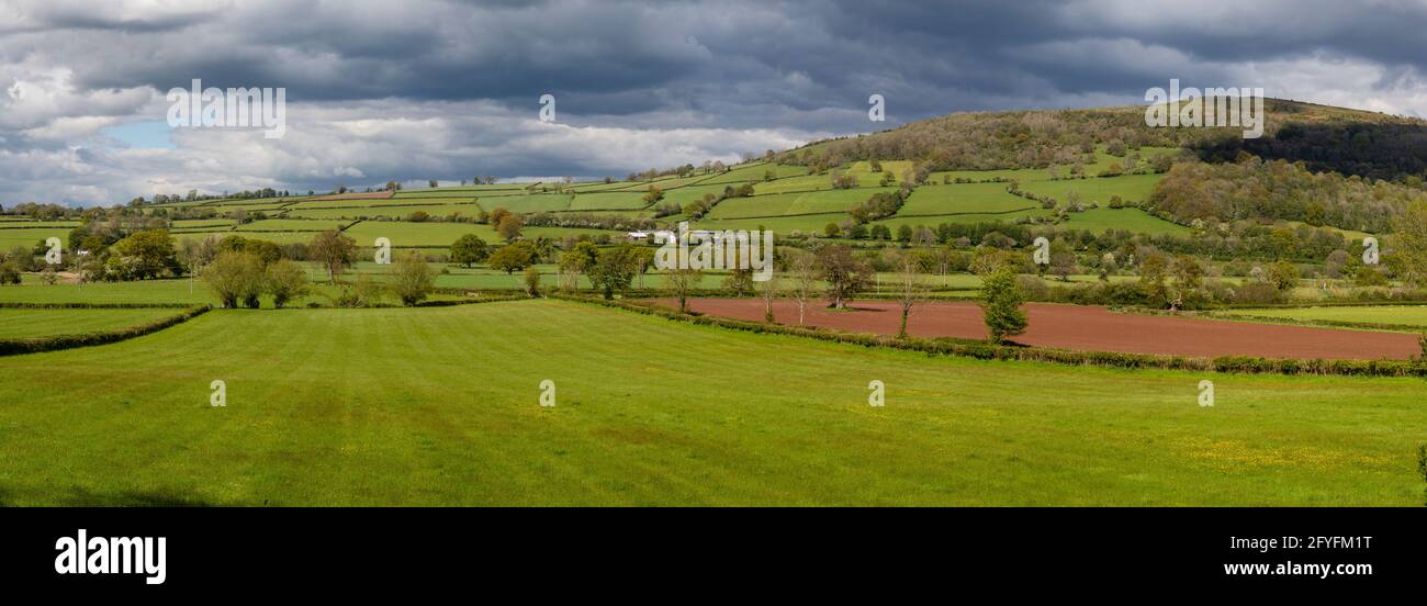 Campos en el valle de Usk, cerca de Brecon, Powys, Gales, Reino Unido, Foto de stock