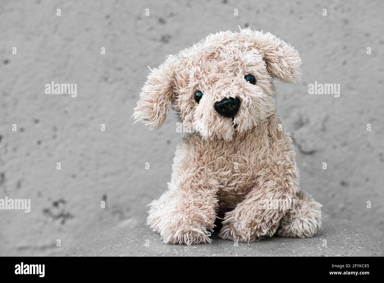 Gracioso lindo perro de felpa sobre un fondo gris Foto de stock