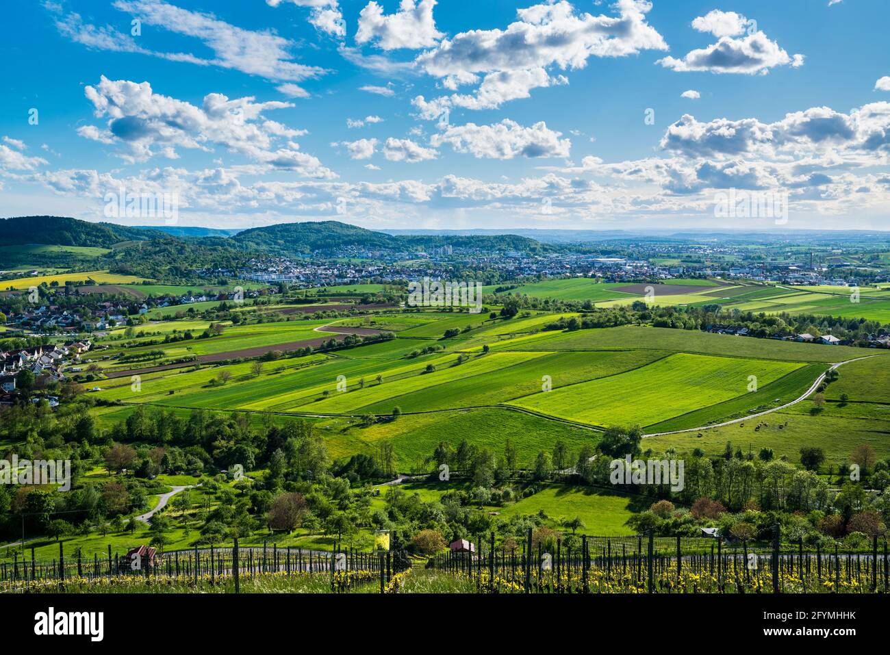 Alemania, vista panorámica sobre las casas de la ciudad de winnenden rodeadas de un paisaje verde de campos y viñedos en verano Foto de stock