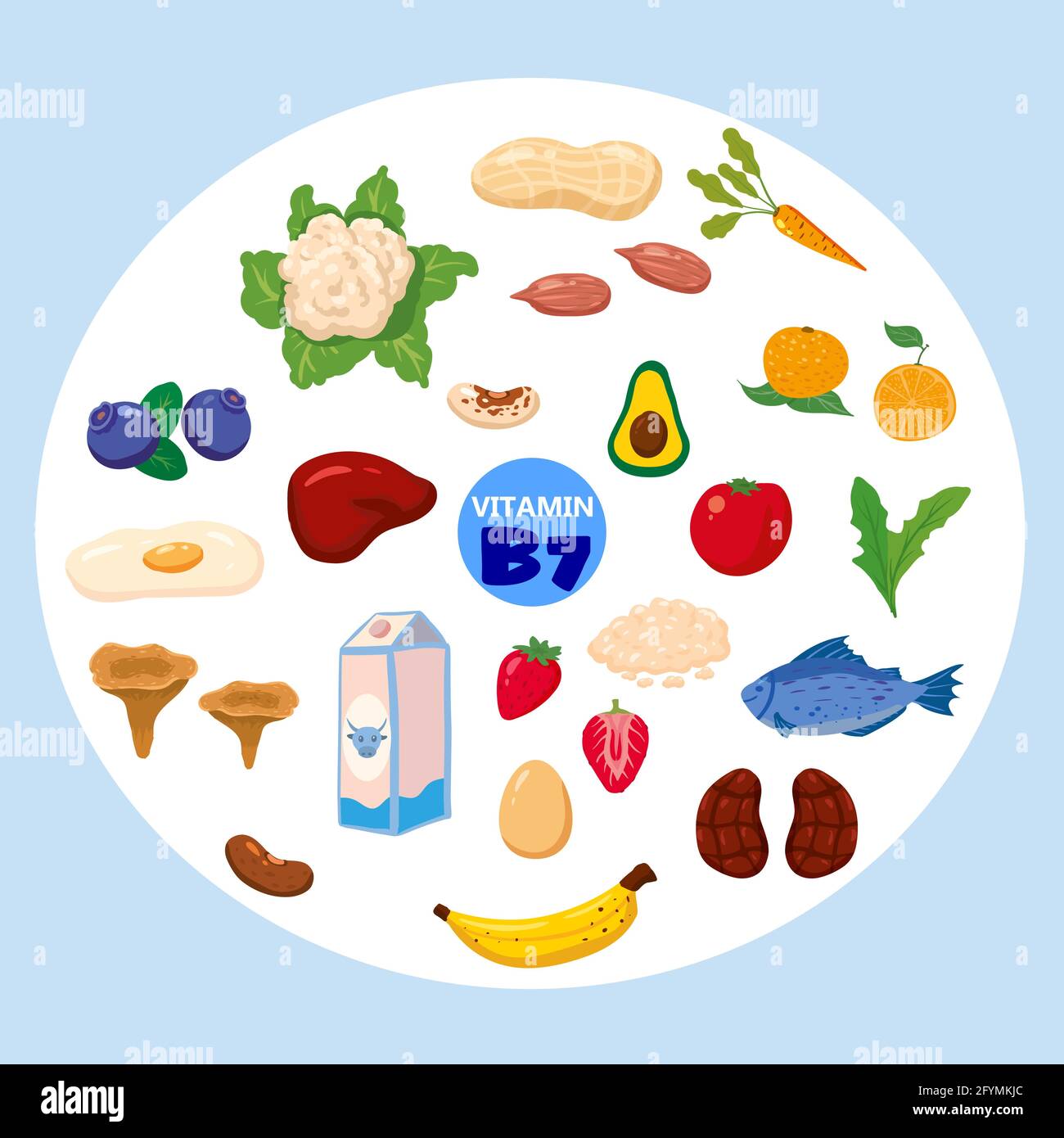 Conjunto de fuentes naturales de origen de la vitamina B7. Diario saludable  alimentos ricos en biotina, carne, pescado, verduras, frutas, verduras.  Productos de dieta orgánicos, naturales Imagen Vector de stock - Alamy