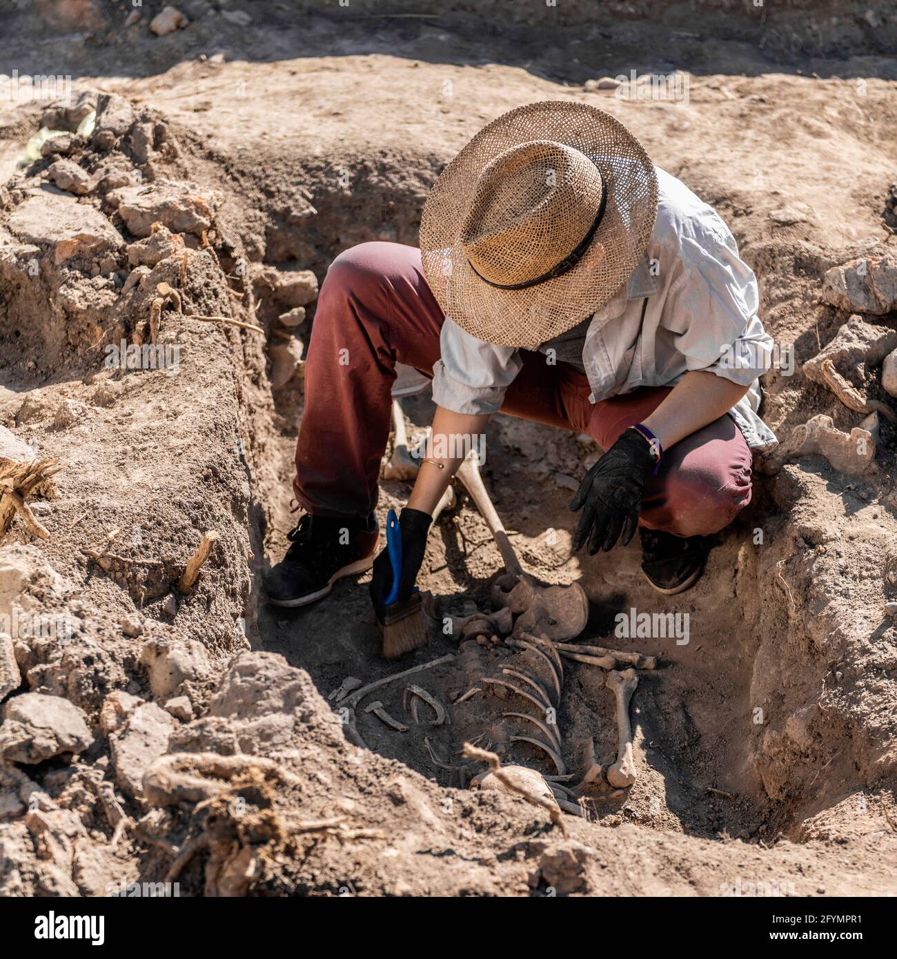Arqueólogo excavando esqueleto Fotografía de stock - Alamy