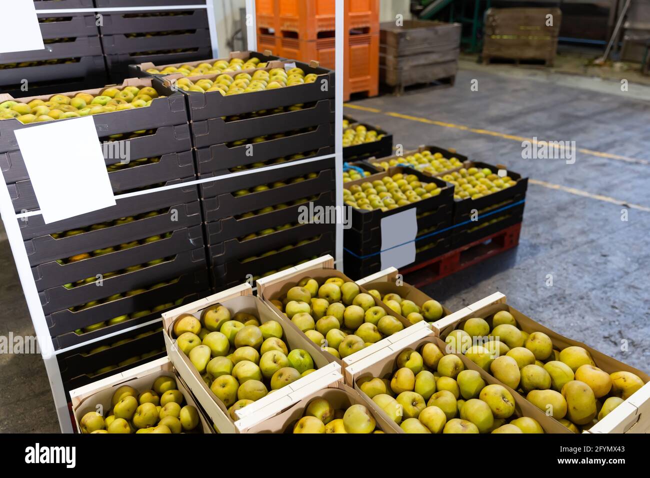 montones de cajas de fruta con manzanas recién cosechadas en almacén en la  fábrica de manzanas Fotografía de stock - Alamy