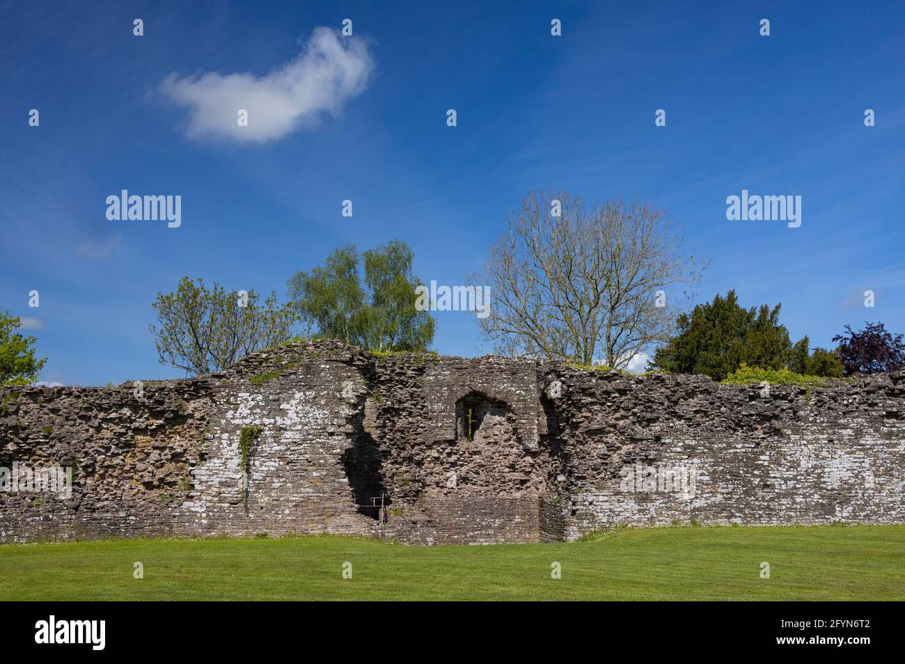 Paredes en ruinas del barrio exterior del Castillo Blanco, Moncouthshire, Gales Foto de stock