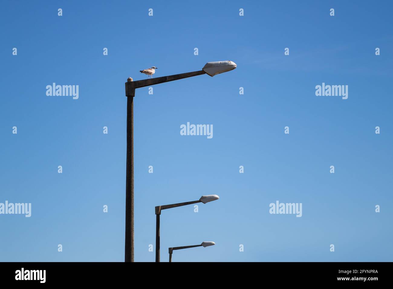 Postes de luz de calle fotografías e imágenes de alta resolución - Alamy