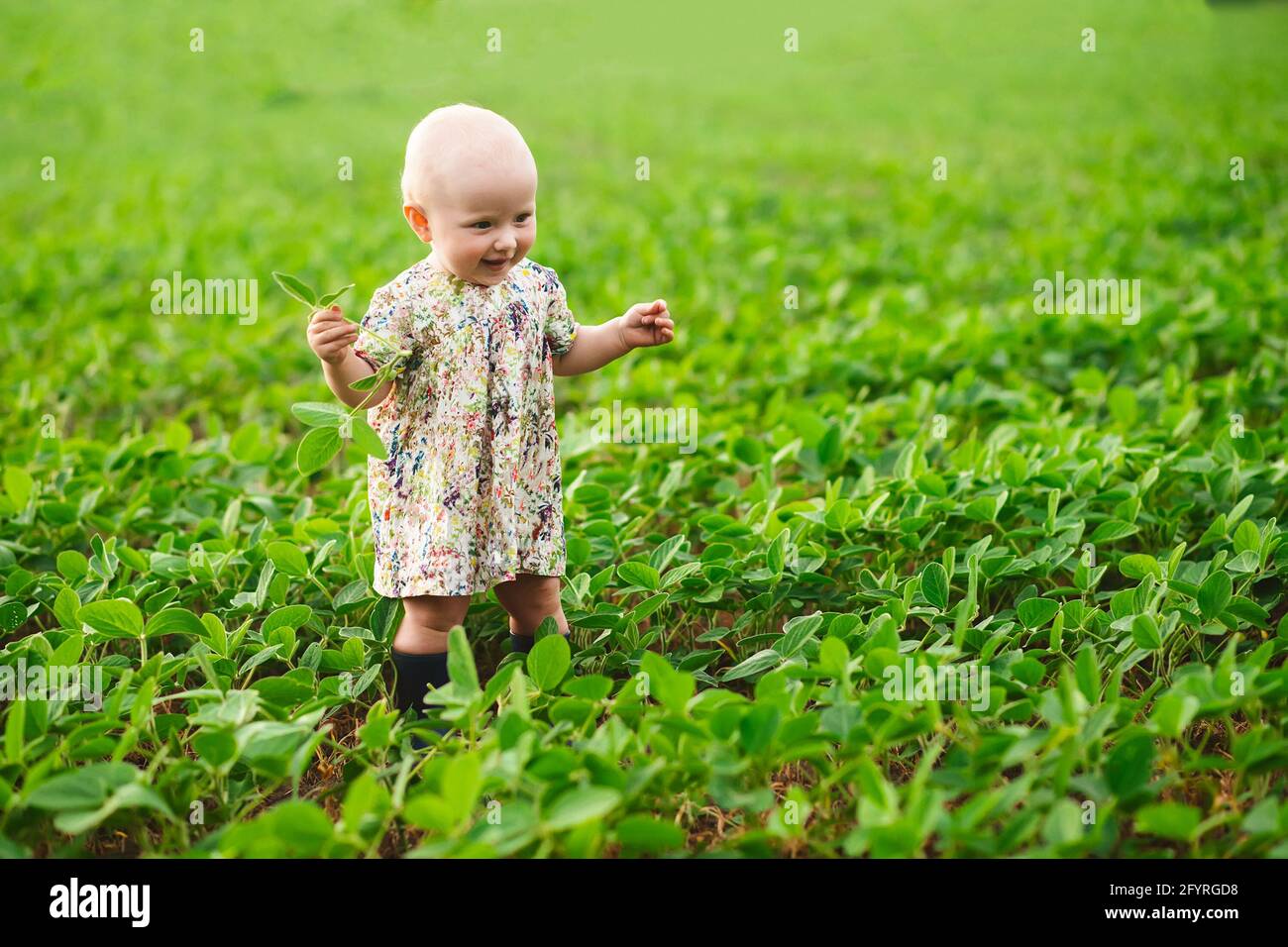Feliz niña en el campo con brotes de soja jóvenes. Un campo verde con  plantas. Los niños caminan en el verano cerca de la soja en botas de goma.  La agrícola Fotografía