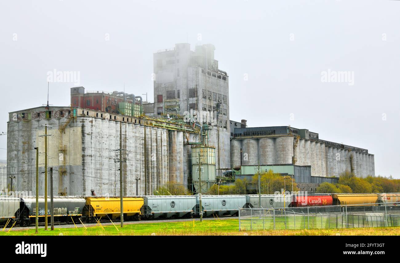 En un foggy día de la primavera los coches del tren llenos de grano traen sus cargas de grano a los elevadores del grano para ser almacenados y enviados a mercados alrededor del mundo. Foto de stock