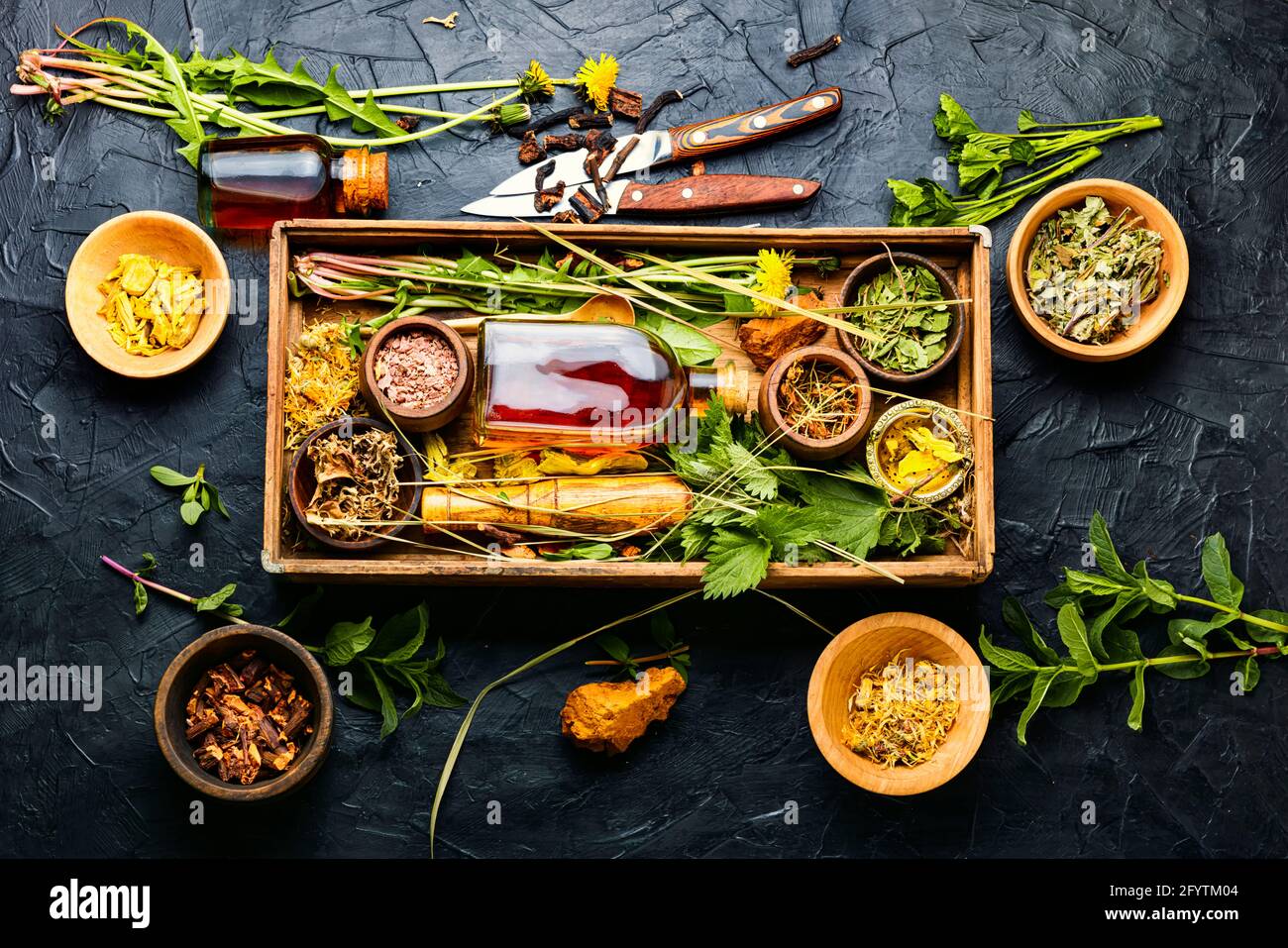 Plantas medicinales en caja de madera fotografías e imágenes de alta