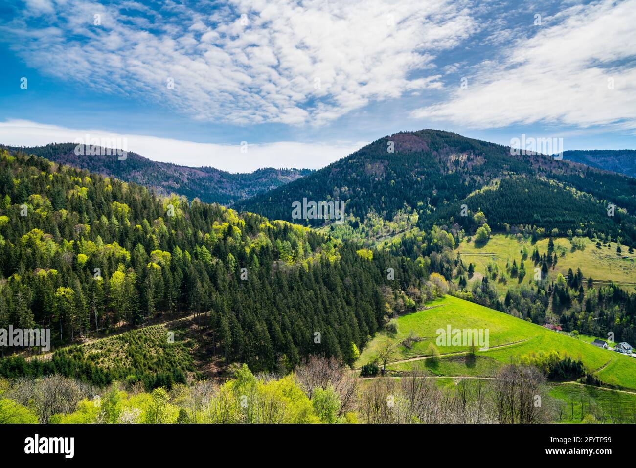 Alemania, Schwarzwald vista panorámica de montañas boscosas y verdes pastos brillantes en verano en la naturaleza virgen paisaje valle de yach elzach Foto de stock