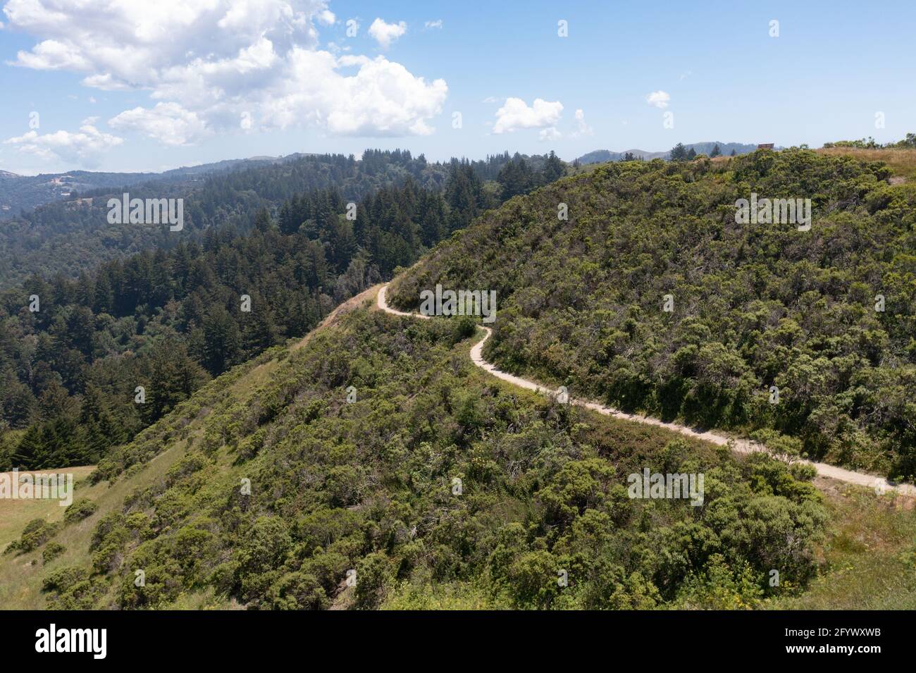 Los pintorescos senderos serpentean a través de las colinas cubiertas de vegetación de la Bahía Este, a sólo unos kilómetros de la Bahía de San Francisco en el norte de California. Foto de stock