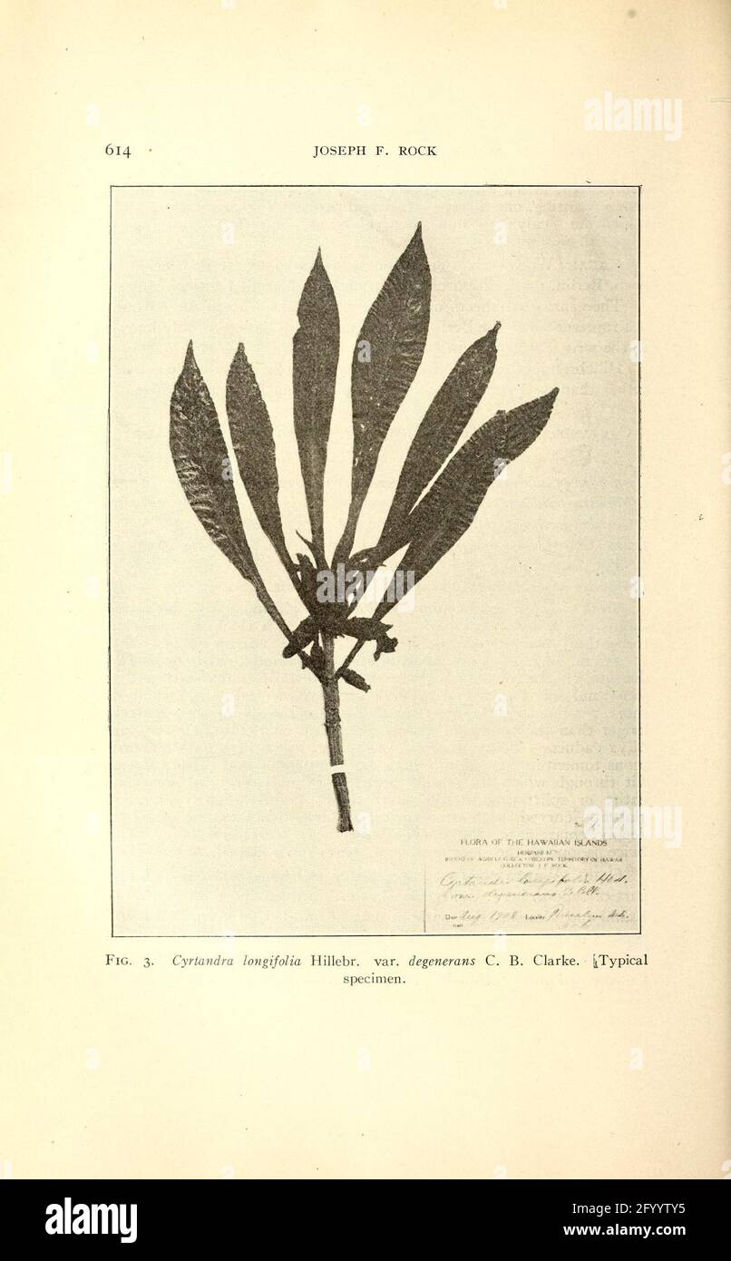 Revista americana de botánica Lancaster, Pa. Publicado en cooperación