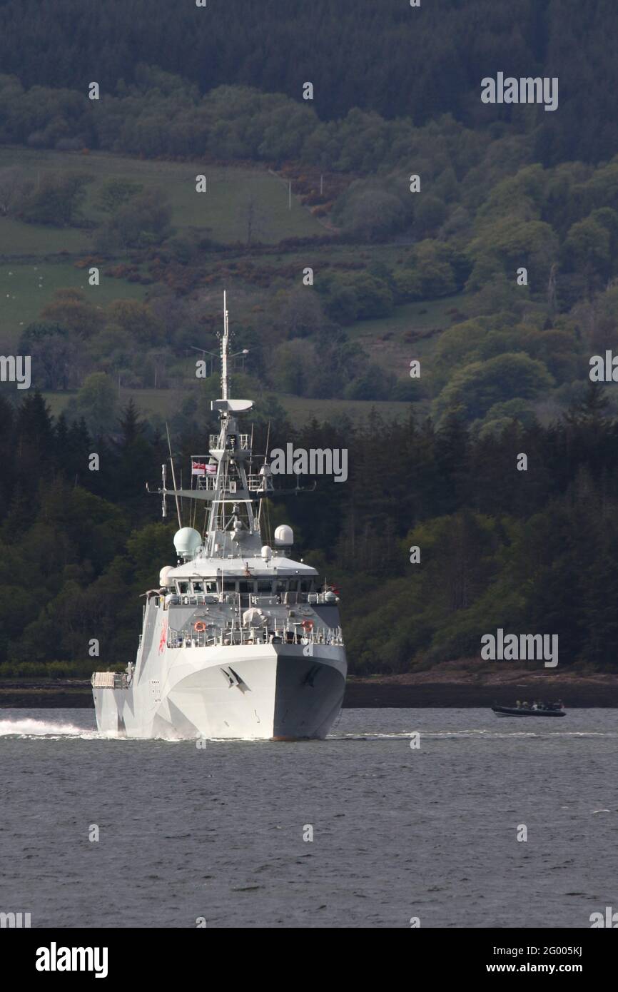 HMS Tamar (P233), un buque patrullero de la clase Batch 2, operado por la Royal Navy, en su esquema de camuflaje deslumbrante recientemente aplicado, frente a Greenock en el Firth of Clyde. Foto de stock