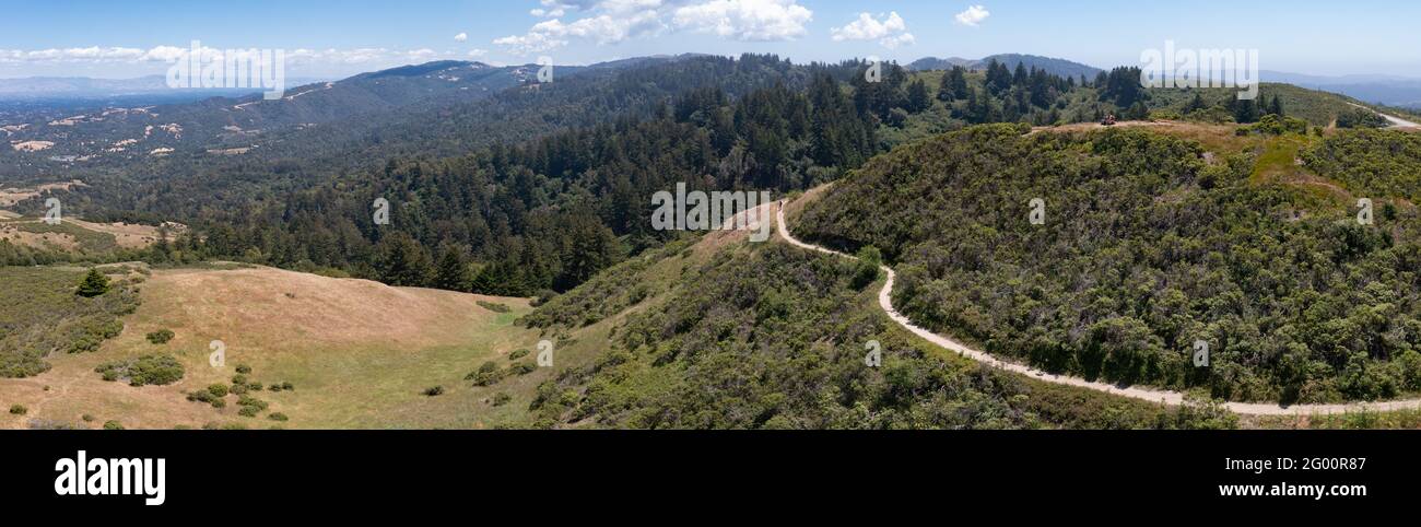 Los senderos serpentean a través de las colinas cubiertas de vegetación de la Bahía Este, a sólo unos kilómetros de la Bahía de San Francisco en el norte de California. Foto de stock