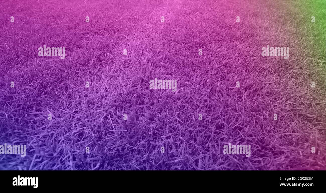 Composición del campo de fútbol con tinte rosa a verde Foto de stock