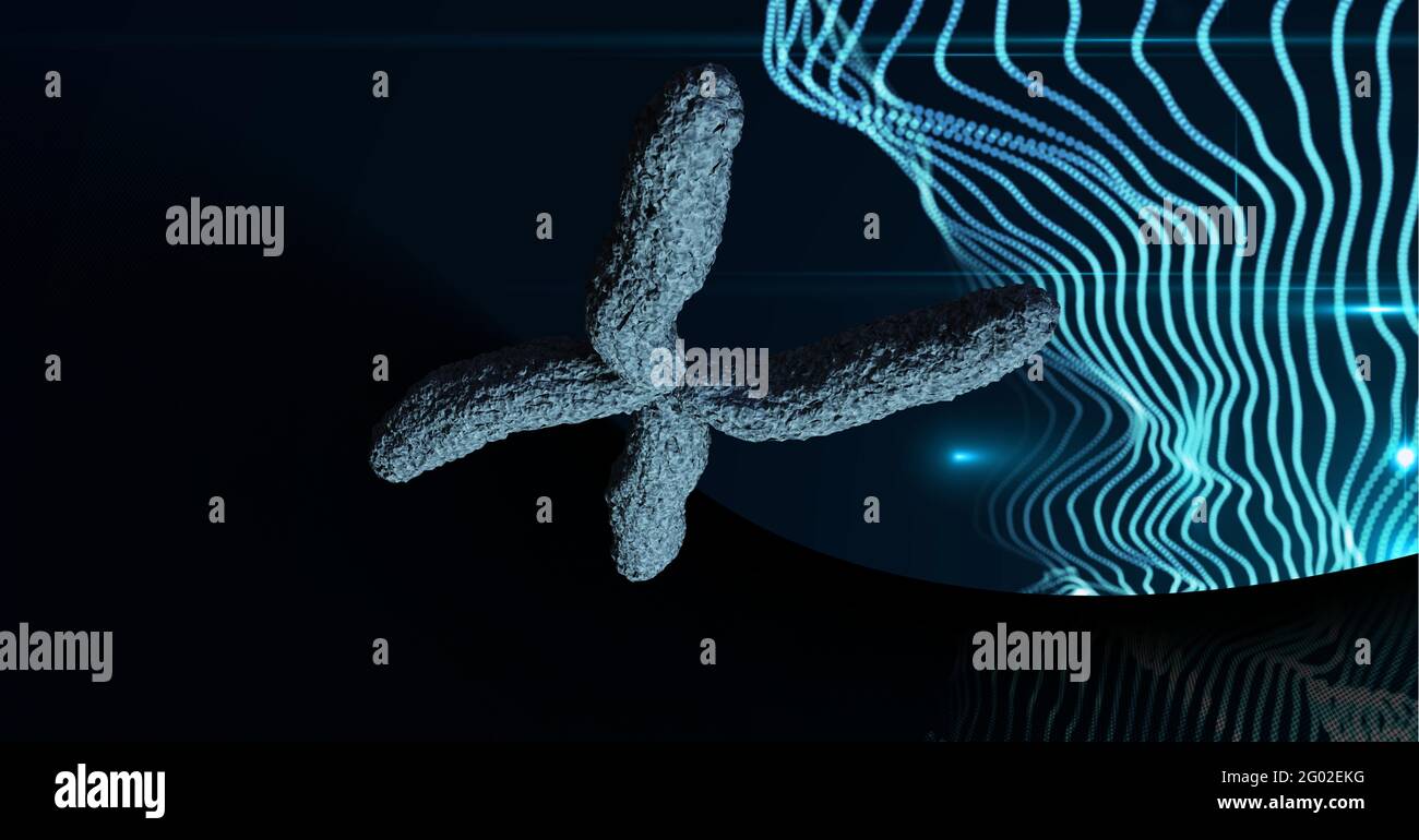 Composición de 3D cromosomas sobre senderos de luz azul sobre fondo negro Foto de stock