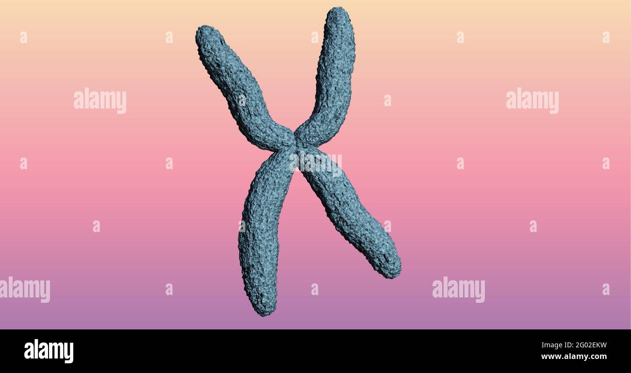 Composición del cromosoma 3D sobre fondo amarillo a rosa Foto de stock